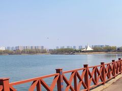 -丁香湖公园