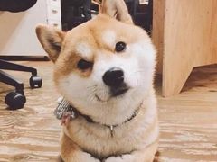 -中田·健身+普拉提(浦东金高路店)
