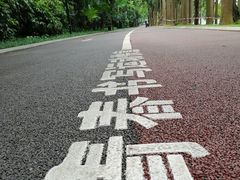 -南宁南湖公园