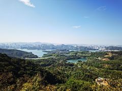 -梧桐山风景名胜区