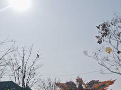 -武汉园博园(武汉自然博物馆)