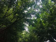 -广东外语外贸大学(白云山校区)