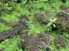 -海口火山口国家地质公园