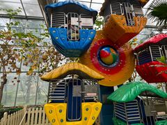 -南宫五洲植物乐园