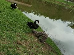 -森波拉奇妙世界