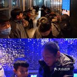 跨年餐 绝不凑合 但可以凑凑