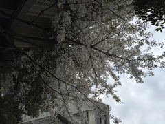 iphone_upload_pic-杭州西湖艺联君亭酒店(黄龙体育中心地铁口店)