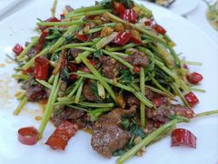 小炒黄牛肉-玉林烤鸭店(定福庄店)