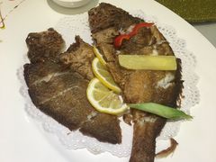 -骏莱海鲜鱼港(五角场店)