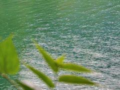 -广州市流溪河国家森林公园