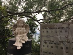 -大埔公路-马料水段香港中文大学(公交站)