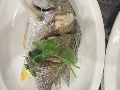 -长平肥姐白粥·海鲜打冷