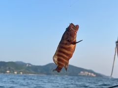 -深圳海钓·深圳钓鱼·拓展聚会鱼排