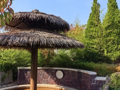 -大连金石滩绿发温泉假日酒店