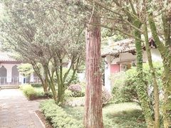 -白鹿洞书院
