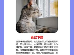 -纳吉亚猫专科动物诊疗中心(蒋宅口分院)