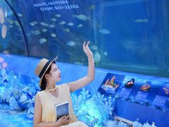 -重庆欢乐海底世界