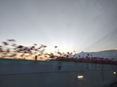 -温州龙湾国际机场
