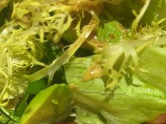 -江南赋(内蒙古大厦店)