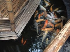 -上海大自然野生昆虫馆(东方明珠·爬宠昆虫探索中心)
