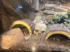 -成都浩海立方海洋公园