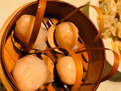 -金鼎轩(亚运村店)