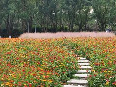 -华东政法大学(松江校区)