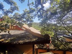 -巴哈面店(沈家门西大街店)