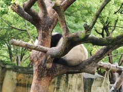 -上海野生动物园