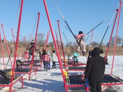 -绿野森林乐园冰雪季
