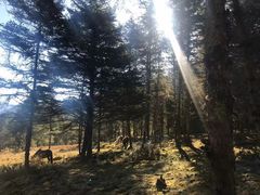 -硗碛藏寨·神木垒景区