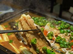 -探鱼·鲜青椒爽麻烤鱼(苏宁广场店)