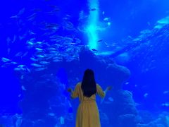 -成都浩海立方海洋公园