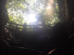 -寻龙山风景旅游区