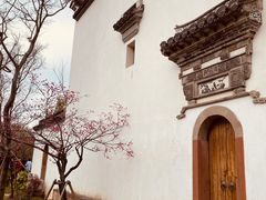 -广富林郊野公园