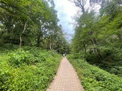 -南京老山国家森林公园