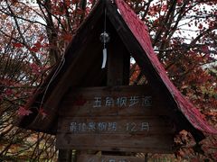 -田野绿世界