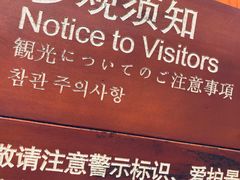 -成都大熊猫繁育研究基地