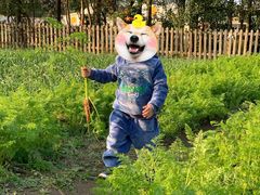 -前小桔亲子创意农场·草莓采摘·露营烧烤