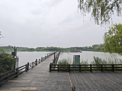 -溱湖国家湿地公园