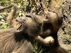 -国家自然博物馆