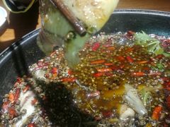 -南山渔美蛙鱼·老鸭汤·火锅(成都大邑店)