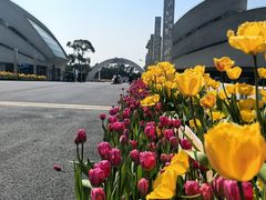 -上海鲜花港
