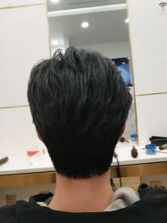 -YESIDO椰岛造型
