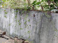 -上海月湖雕塑公园