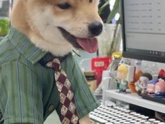 -翊宠yipet猫狗购宠庄园犬舍•猫舍