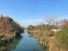 -贡湖湾湿地公园