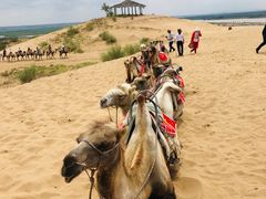 -黄沙古渡原生态旅游区