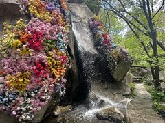 -秦岭终南山世界地质公园翠华山景区