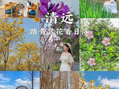 -佛冈森波拉度假区